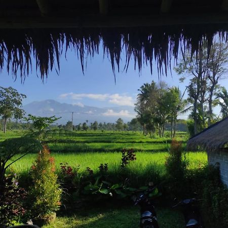 New Rinjani Homestay Tetebatu Exterior foto