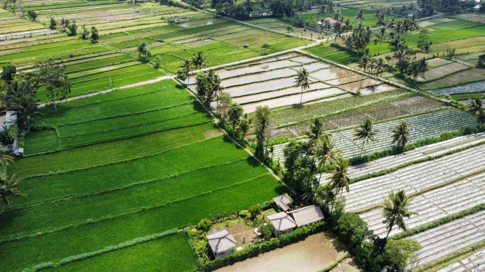 New Rinjani Homestay Tetebatu Quarto foto