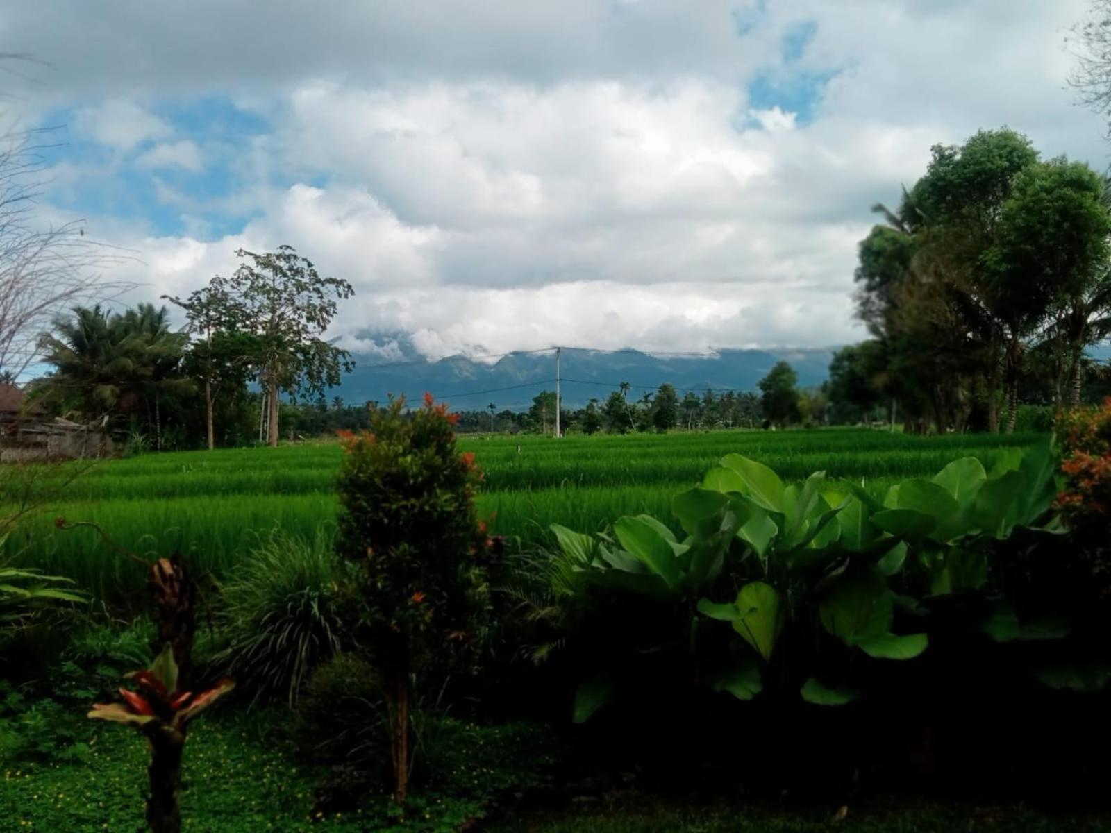 New Rinjani Homestay Tetebatu Quarto foto
