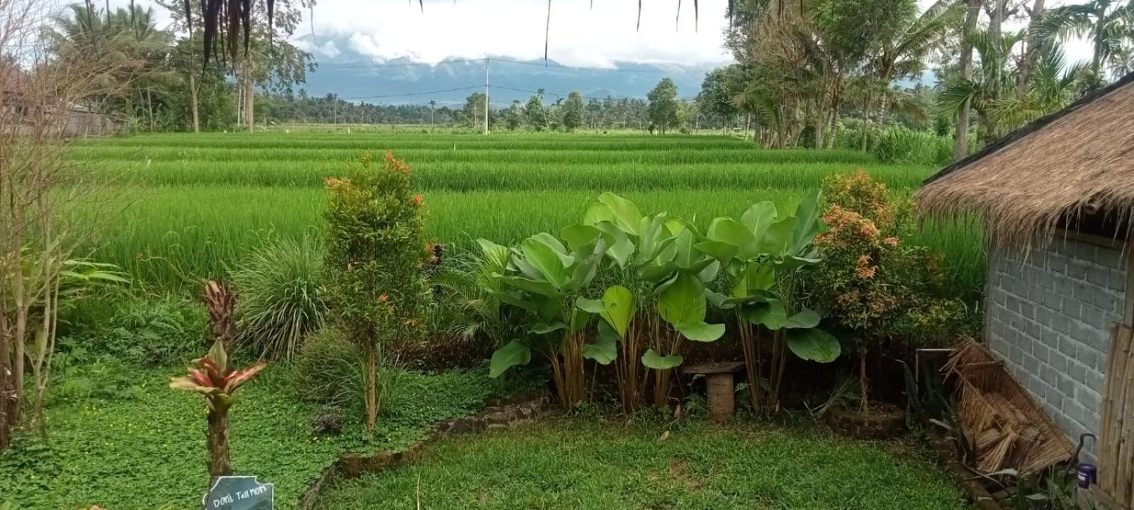 New Rinjani Homestay Tetebatu Quarto foto